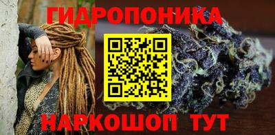 индика Комсомольск-на-Амуре