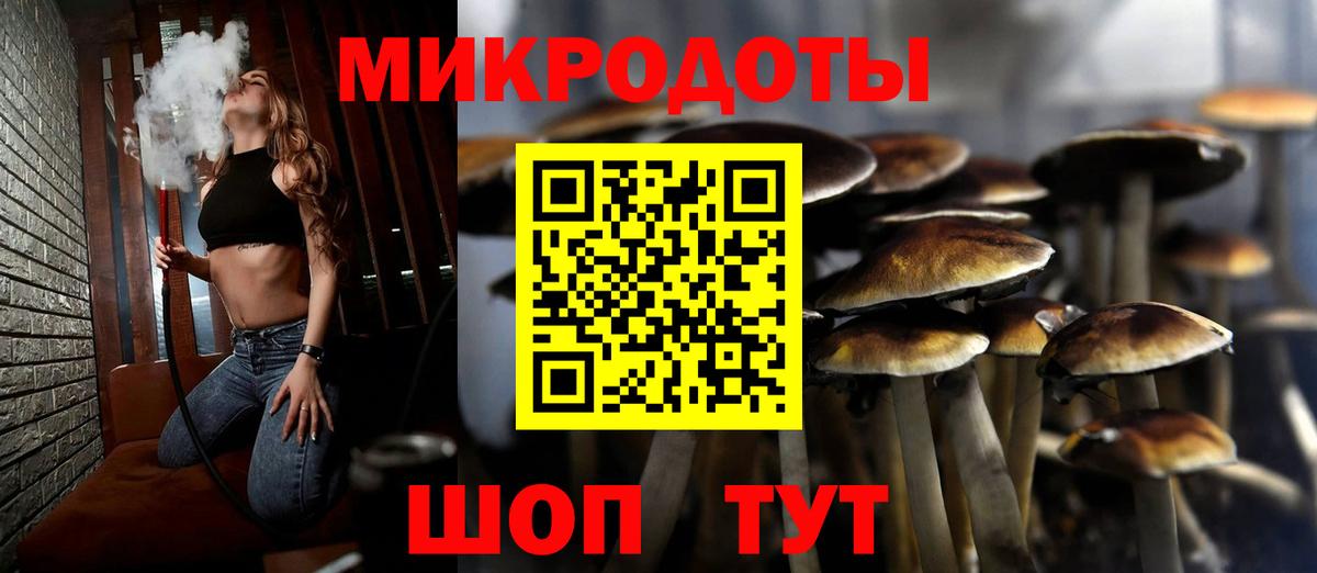 Алапаевск  Галлюциногенные грибы Psilocybe  Вход с VPN 